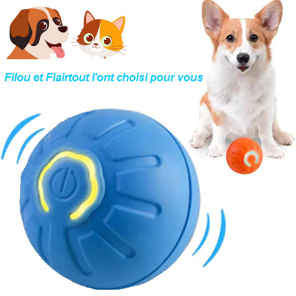 Interactive bouncing ball for dogs and cats 