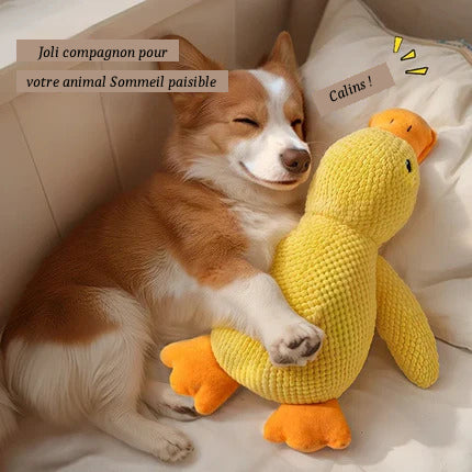 Plush duck for dogs 