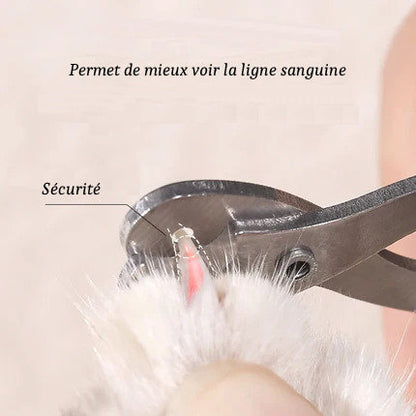 Coupe-Ongles pour Chats et Petits Chiens