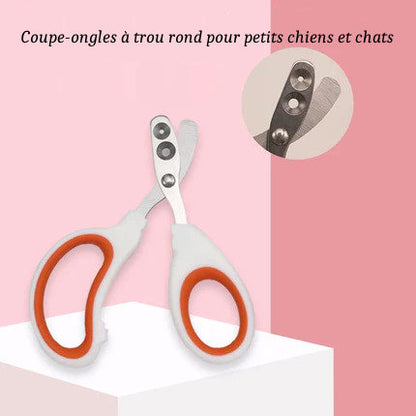 Coupe-Ongles pour Chats et Petits Chiens