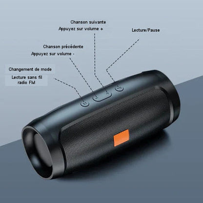 Portable Bluetooth Speaker USB TF 