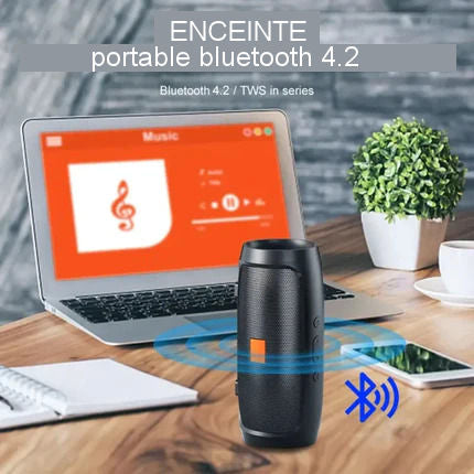 Portable Bluetooth Speaker USB TF 