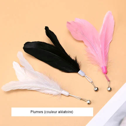 Interactive feather duster toy for cats 