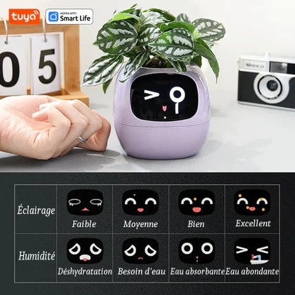 Pot de Fleurs Intelligent  de la marque Tuya Smart Life